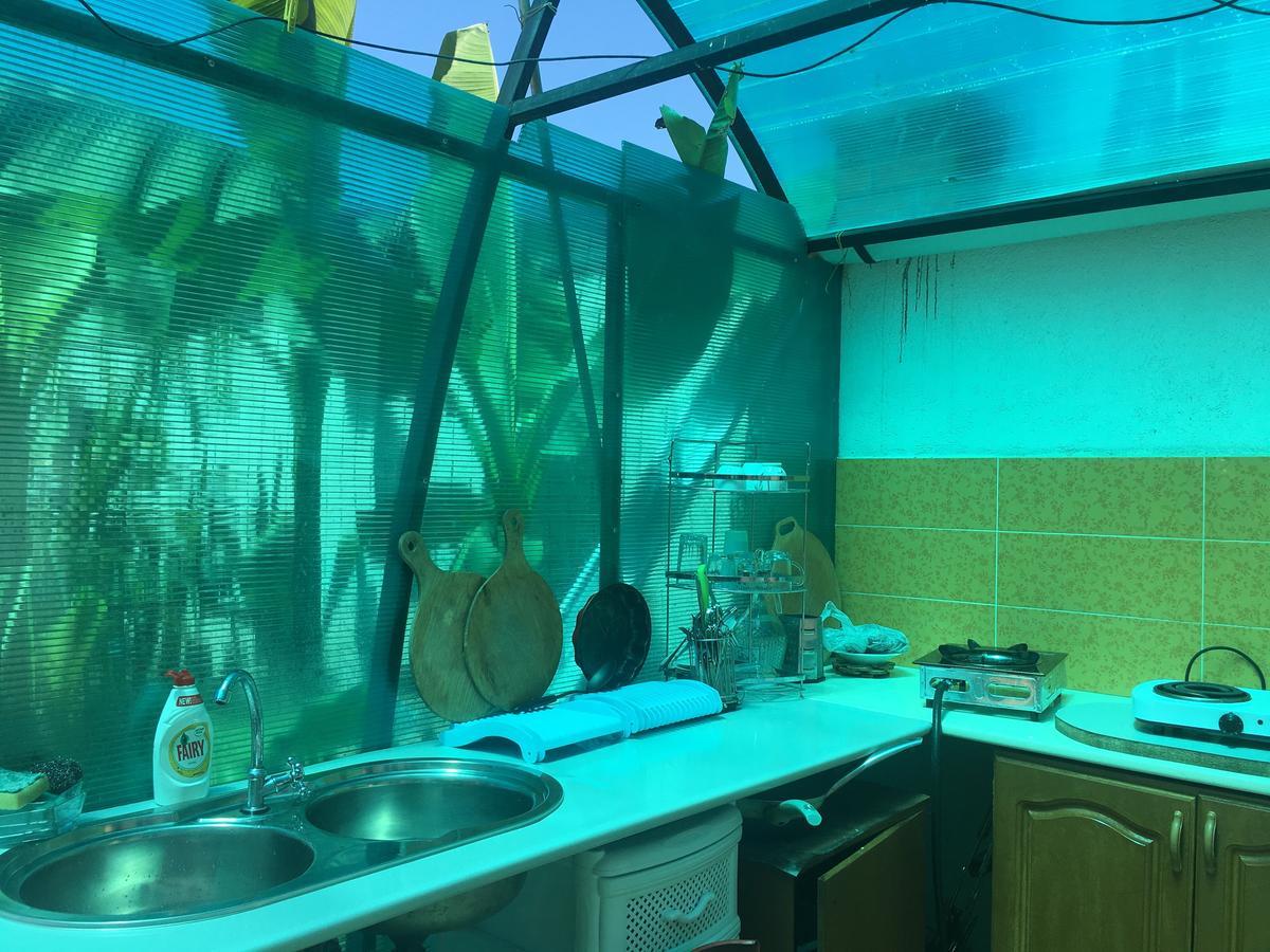 Emiliya Guest House ガグラ エクステリア 写真